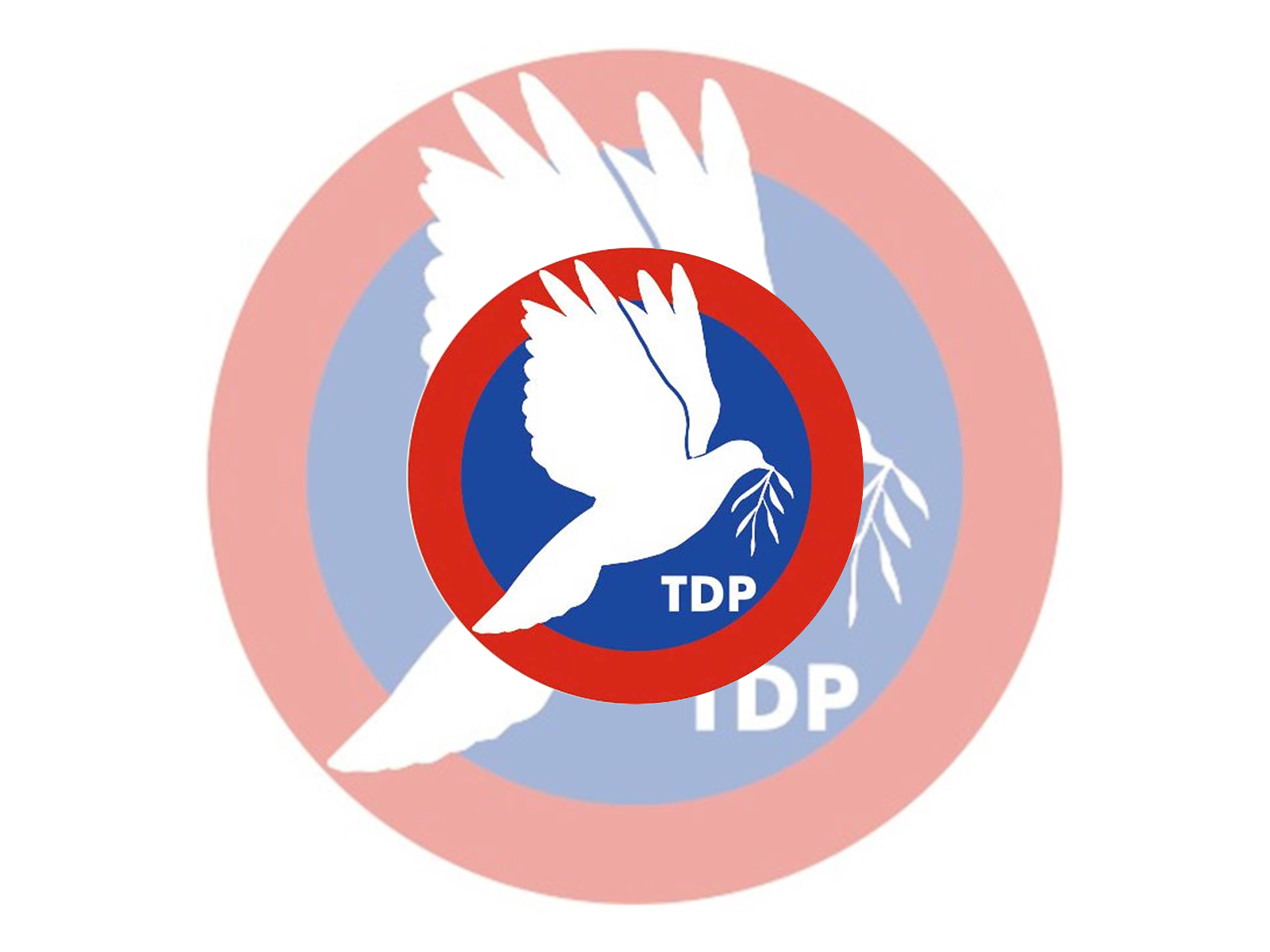 TDP bugün toplanıyor