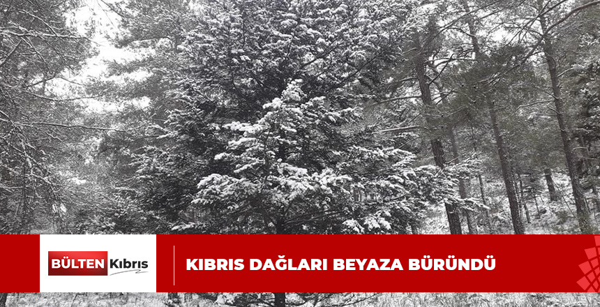 DAĞLIK KESİMLERE KAR YAĞDDI