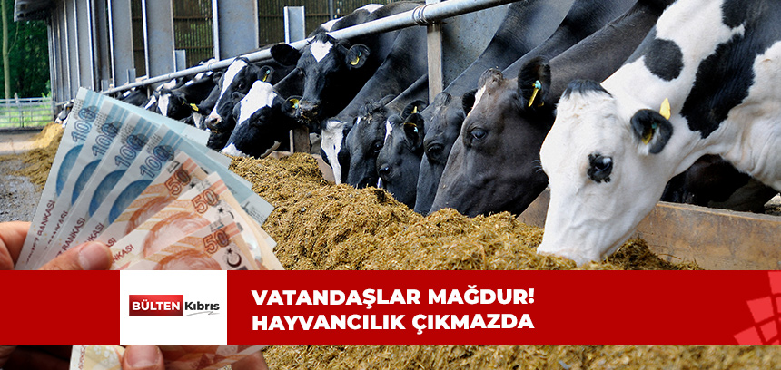 YEM FİYATLARI YÜKSELDİ!