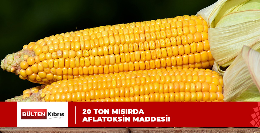 İZİN VERİLENİN ÜZERİNDE AFLATOKSİN MADDESİ ÇIKTI