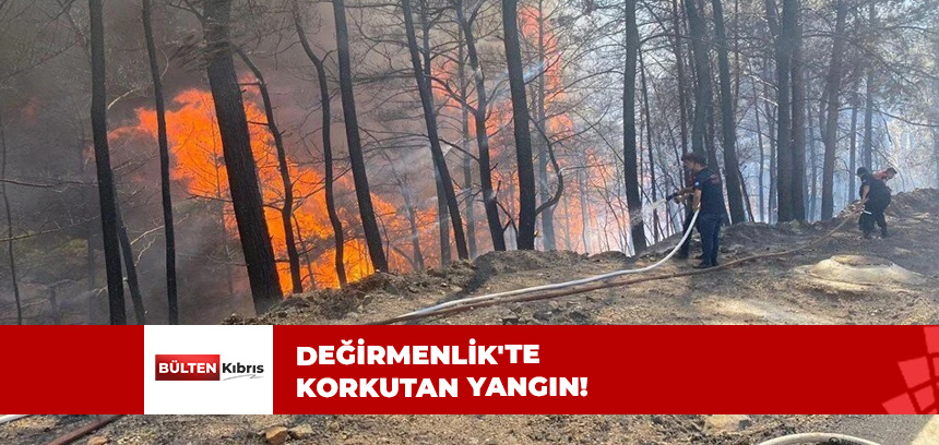 YANGIN GİDEREK YAYILIYOR…