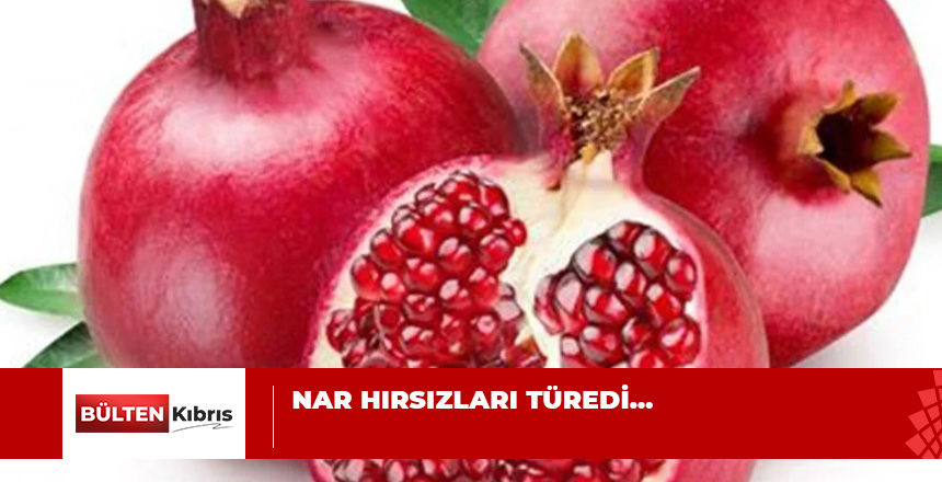 600 KG NAR ÇALDILAR…