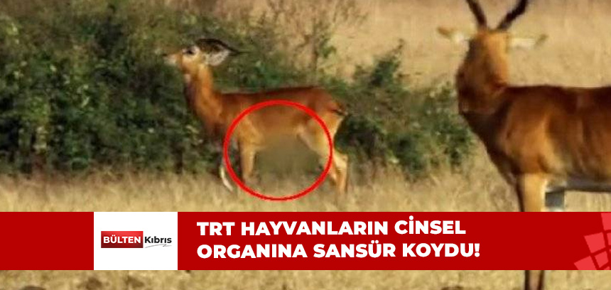 TRT HERKESİ ŞAŞIRTTI!