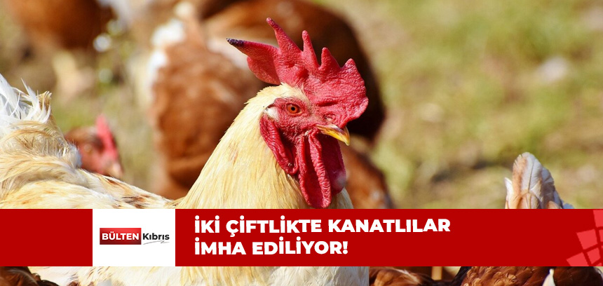 İMHA EDİLME İŞLEMİ BAŞLADI!