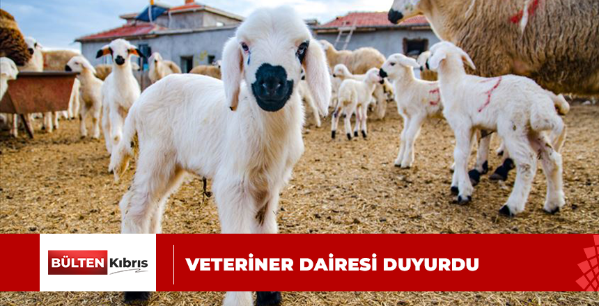 VETERİNER DAİRESİ MÜDÜRLÜĞÜ’NDEN DUYURU