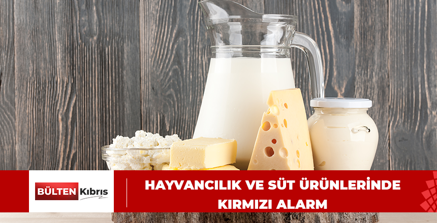 Hayvancılık ve süt ürünlerinde kırmızı alarm