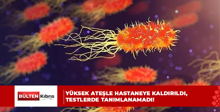 Gizemli bakteri alarmı: Yüksek ateşle hastaneye kaldırıldı, testlerde tanımlanamadı!