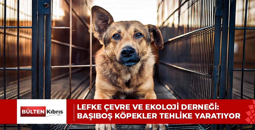 LEFKE ÇEVRE VE EKOLOJİ DERNEĞİ’NDEN AÇIKLAMA