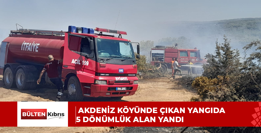 Akdeniz köyünde çıkan yangıda 5 dönümlük alan yandı