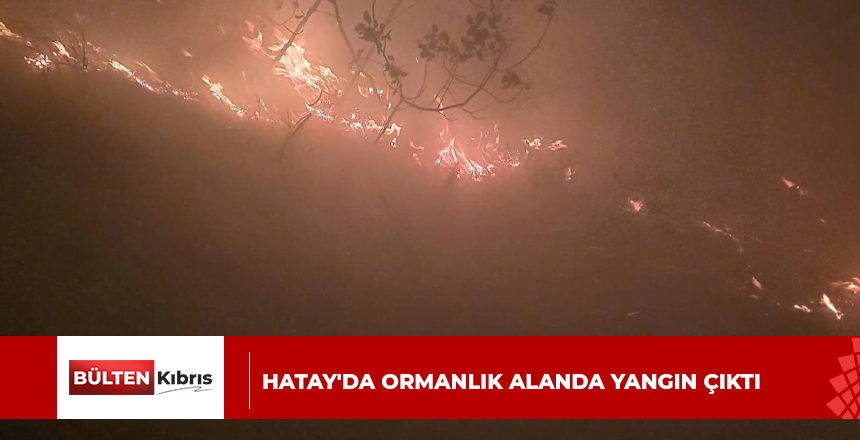 Hatay’da ormanlık alanda yangın çıktı