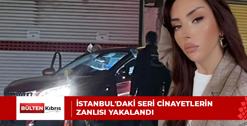 İstanbul’daki seri cinayetlerin zanlısı yakalandı