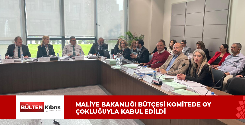 Maliye Bakanlığı bütçesi komitede oy çokluğuyla kabul edildi