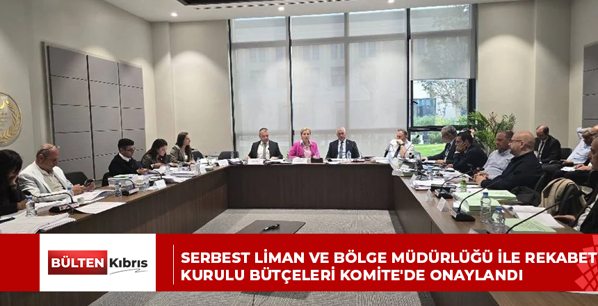 Serbest Liman ve Bölge Müdürlüğü ile Rekabet Kurulu bütçeleri Komite’de onaylandı