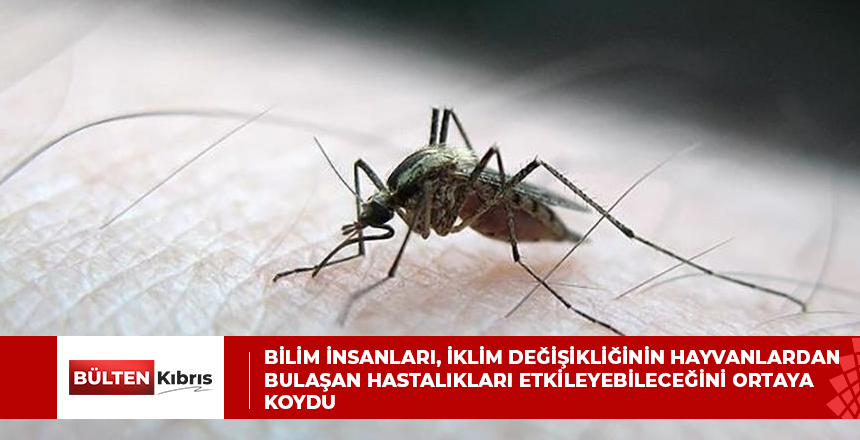 Bilim insanları, iklim değişikliğinin hayvanlardan bulaşan hastalıkları etkileyebileceğini ortaya koydu