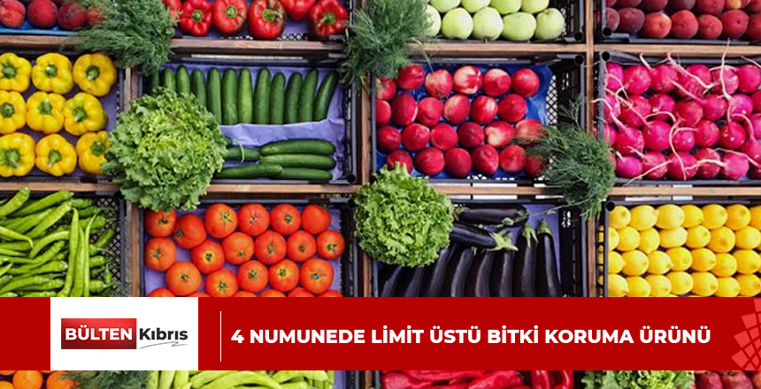 4 NUMUNEDE LİMİT ÜSTÜ BİTKİ KORUMA ÜRÜNÜ