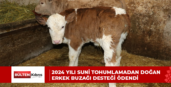 2024 yılı suni tohumlamadan doğan erkek buzağı desteği ödendi