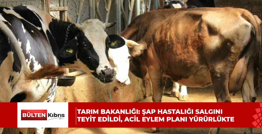 Tarım Bakanlığı: Şap hastalığı salgını teyit edildi, acil eylem planı yürürlükte