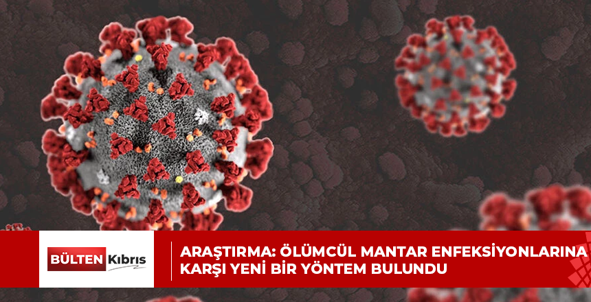 ARAŞTIRMA: ÖLÜMCÜL MANTAR ENFEKSİYONLARINA KARŞI YENİ BİR YÖNTEM BULUNDU