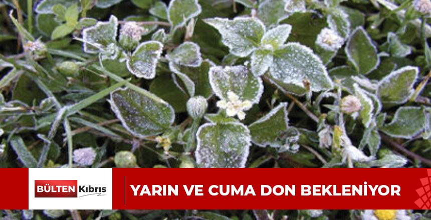 YARIN VE CUMA DON BEKLENİYOR