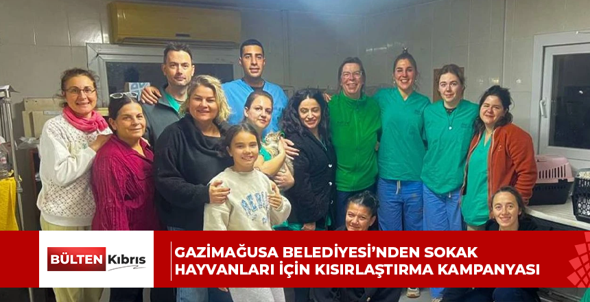 Gazimağusa Belediyesi’nden sokak hayvanları için kısırlaştırma kampanyası