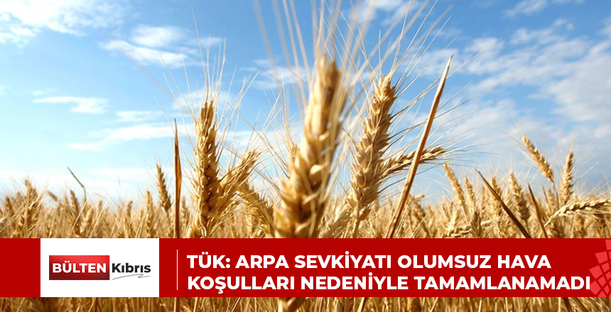 TÜK: Arpa sevkiyatı olumsuz hava koşulları nedeniyle tamamlanamadı
