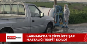 Larnaka’da 11 çiftlikte şap hastalığı tespit edildi