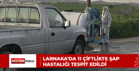Larnaka’da 11 çiftlikte şap hastalığı tespit edildi