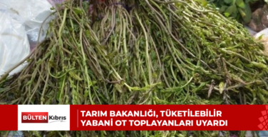 TARIM BAKANLIĞI, TÜKETİLEBİLİR YABANİ OT TOPLAYANLARI UYARDI
