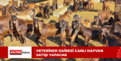 Veteriner Dairesi canlı hayvan satışı yapacak