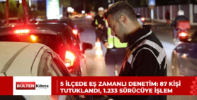 5 İlçede Eş Zamanlı Denetim: 87 Kişi Tutuklandı, 1.233 Sürücüye İşlem