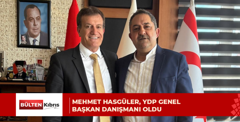 Mehmet Hasgüler, Yeniden Doğuş Partisi Genel Başkan Danışmanı oldu