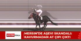 Mersin’de kavurma yapılan atın kimliği belli oldu. İngiliz atının 3 birinciliği var