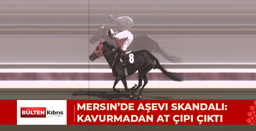 Mersin’de kavurma yapılan atın kimliği belli oldu. İngiliz atının 3 birinciliği var