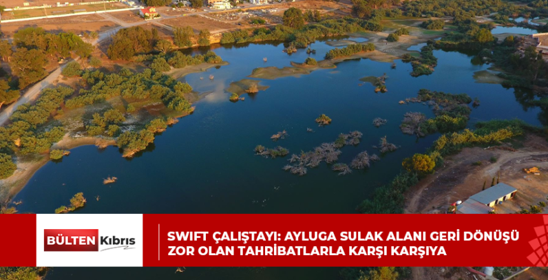SWIFT çalıştayı: Ayluga Sulak Alanı geri dönüşü zor olan tahribatlarla karşı karşıya