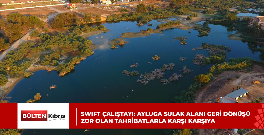 SWIFT çalıştayı: Ayluga Sulak Alanı geri dönüşü zor olan tahribatlarla karşı karşıya
