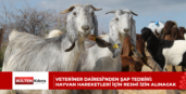 VETERİNER DAİRESİ’NDEN ŞAP TEDBİRİ: HAYVAN HAREKETLERİ İÇİN RESMİ İZİN ALINACAK