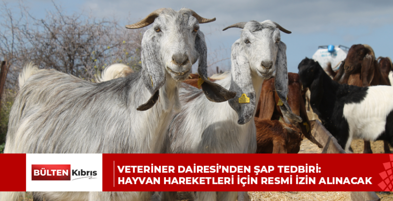 VETERİNER DAİRESİ’NDEN ŞAP TEDBİRİ: HAYVAN HAREKETLERİ İÇİN RESMİ İZİN ALINACAK