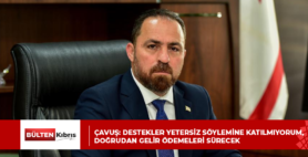 ÇAVUŞ: DESTEKLER YETERSİZ SÖYLEMİNE KATILMIYORUM, DOĞRUDAN GELİR ÖDEMELERİ SÜRECEK
