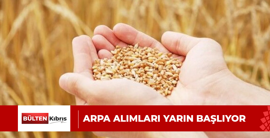 ARPA ALIMLARI YARIN BAŞLIYOR