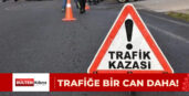 TRAFİĞE BİR CAN DAHA!