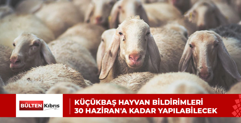Küçükbaş hayvan bildirimleri 30 Haziran’a kadar yapılabilecek