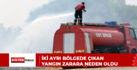 İki ayrı bölgede çıkan yangın zarara neden oldu