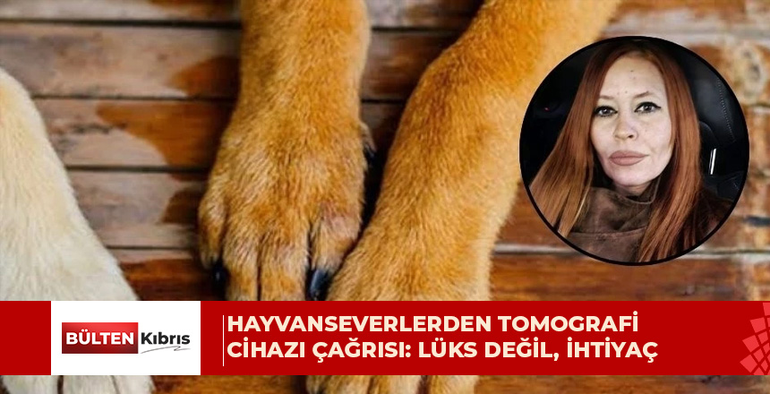 Hayvanseverlerden tomografi cihazı çağrısı: Lüks değil, ihtiyaç