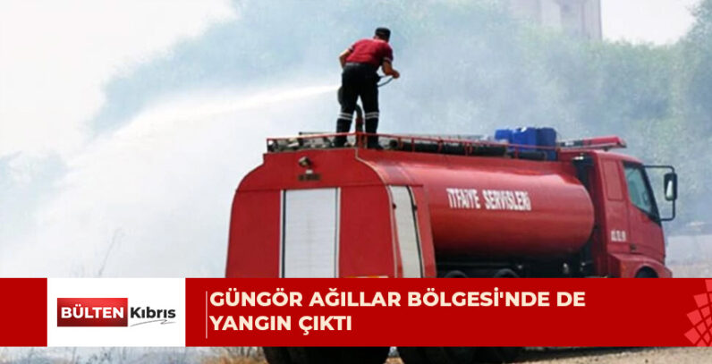 Çok sayıda hayvan telef oldu, 2 kişi dumandan etkilendi