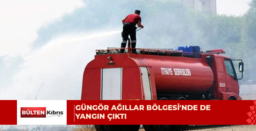 Çok sayıda hayvan telef oldu, 2 kişi dumandan etkilendi