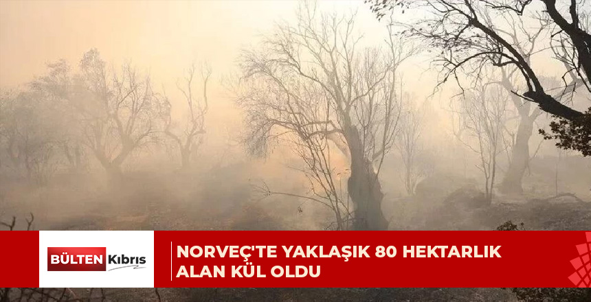 Norveç’teki orman yangını kontrol altına alınamıyor