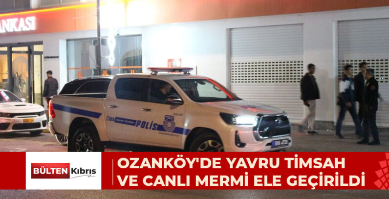 OZANKÖY’DE YAVRU TİMSAH VE CANLI MERMİ ELE GEÇİRİLDİ