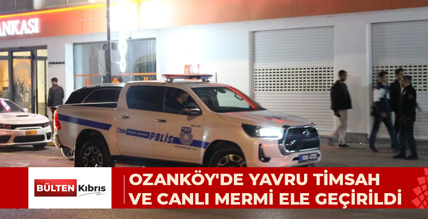 OZANKÖY’DE YAVRU TİMSAH VE CANLI MERMİ ELE GEÇİRİLDİ