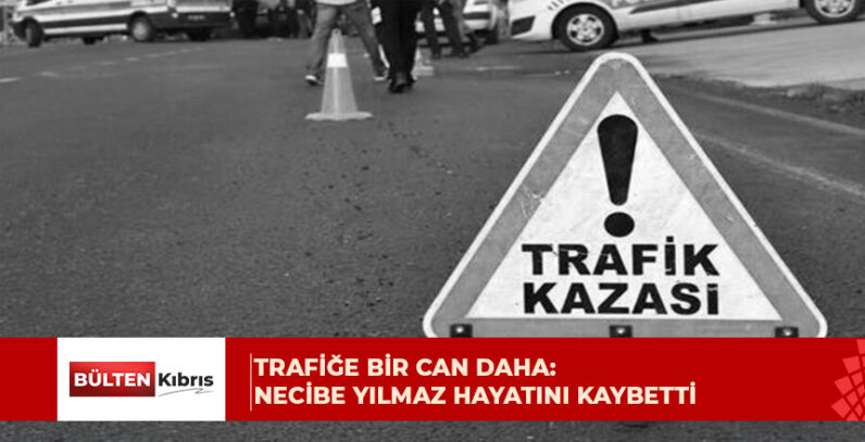 Necibe Yılmaz, hastanede verdiği yaşam mücadelesini kaybetti