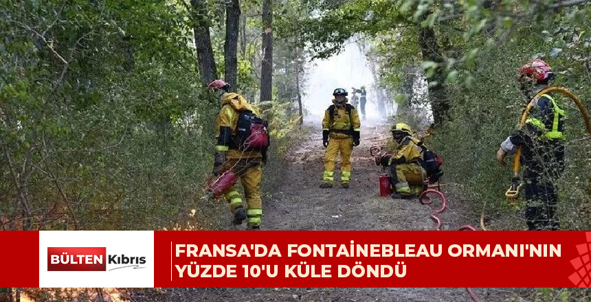 Fransa’da Fontainebleau Ormanı’nın yüzde 10’u küle döndü